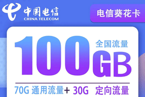 电信葵花卡 29元月租70G通用+30G定向+100分钟语音【实惠】