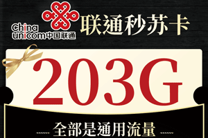 联通秒苏卡 39元月租203G通用+100分钟语音【大流量卡】